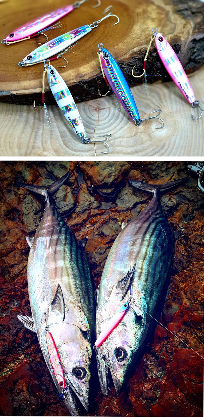 Jackson GALLOP Assist Fall Edition JIG
