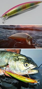 Jackson Athlete 14SS 140mm 25gr LPI