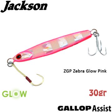 Jackson Gallop ASSIST 30gr ZGP
