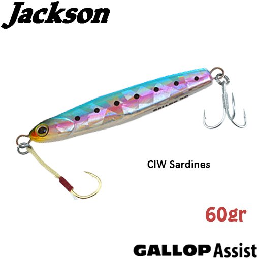 Jackson Gallop ASSIST 60gr CIW